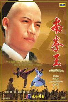 The South Shaolin Master film afişi