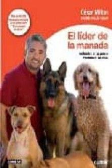 El líder de la manada dizi afişi