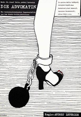 The Lawyer film afişi