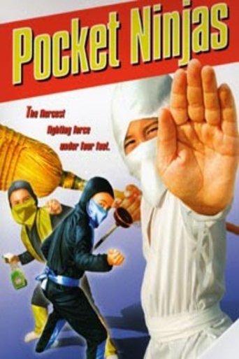 Pocket Ninjas film afişi
