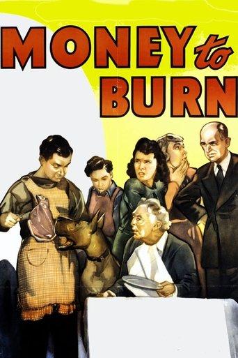 Money To Burn film afişi
