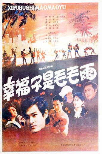 幸福不是毛毛雨 film afişi