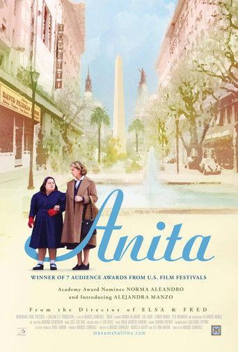Anita film afişi