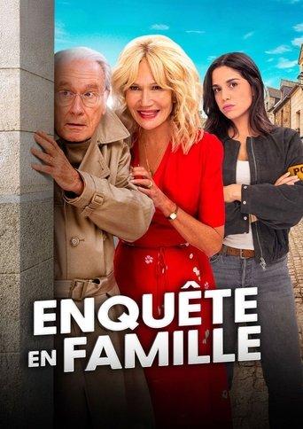 Enquête en famille dizi afişi
