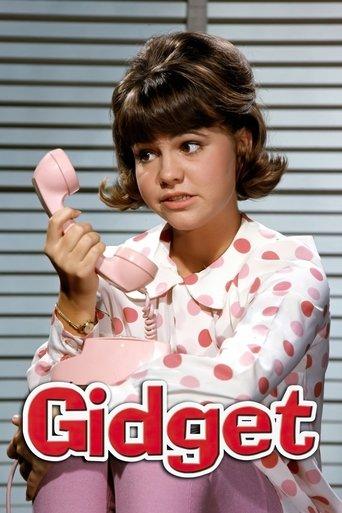 Gidget dizi afişi