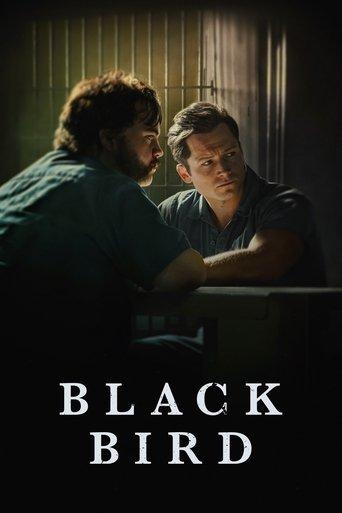 Black Bird dizi afişi