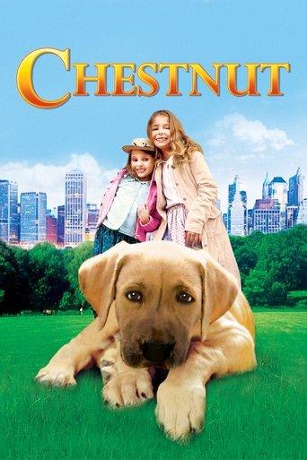 Chestnut: Hero of Central Park film afişi