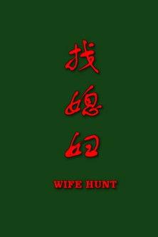 找媳妇 film afişi