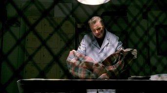 Sex, Lies and Larvae