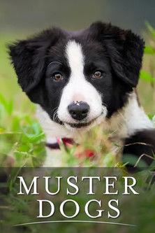 Muster Dogs dizi afişi