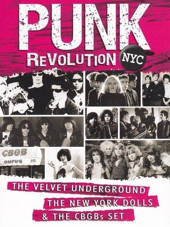 Punk Revolution NYC film afişi
