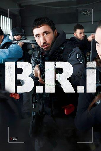 The Brigade dizi afişi