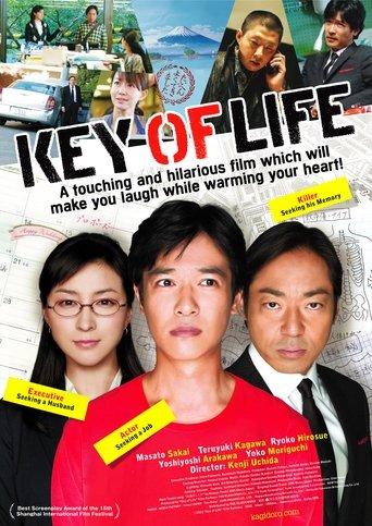 Key of Life film afişi