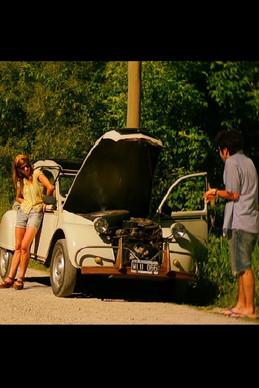 Palo blanco film afişi