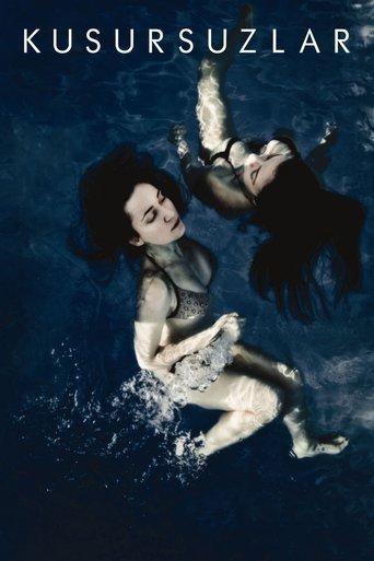 The Impeccables film afişi