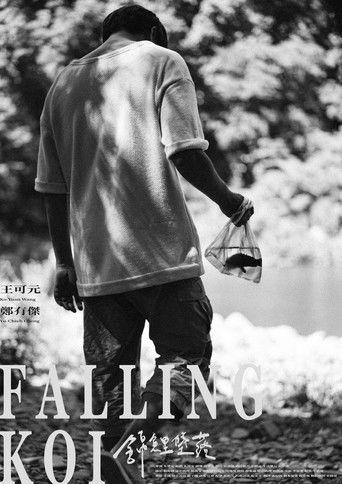 Falling Koi film afişi