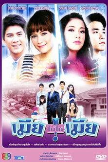 Wife, Not My Wife dizi afişi