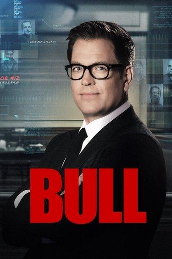 Bull dizi afişi