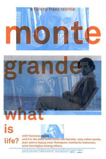 Monte Grande: What is Life? film afişi