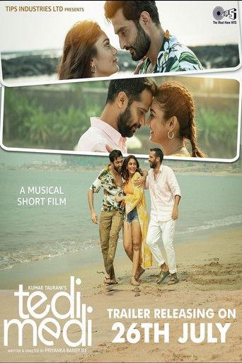 Tedi Medi film afişi