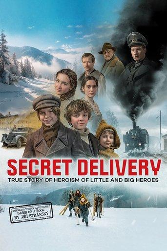 Secret Delivery film afişi