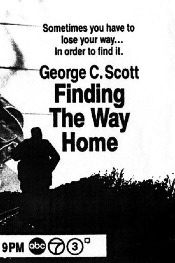 Finding the Way Home film afişi