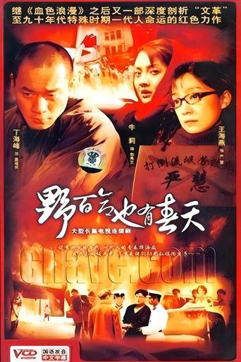 野百合也有春天 dizi afişi