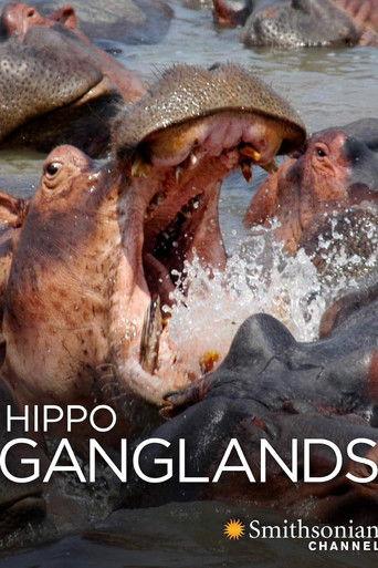 Hippo Ganglands film afişi