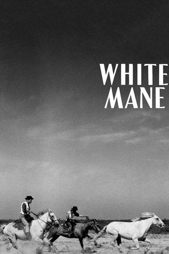 White Mane film afişi