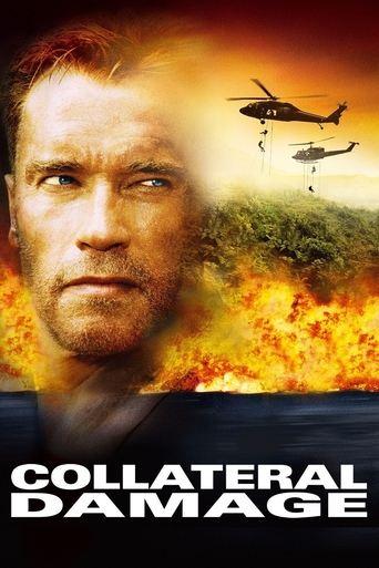 Collateral Damage film afişi