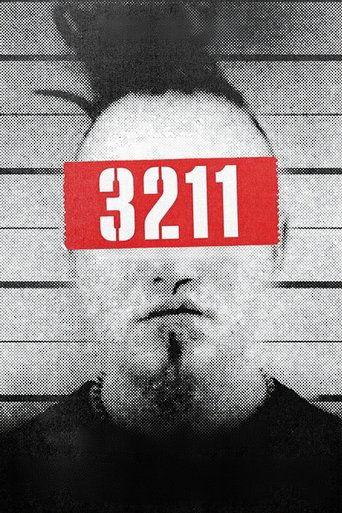 3211 film afişi