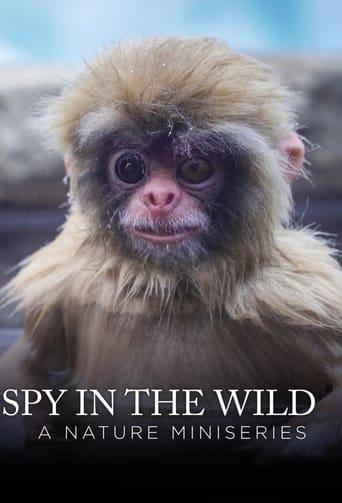 Spy in the Wild dizi afişi