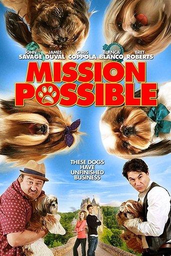 Mission Possible film afişi