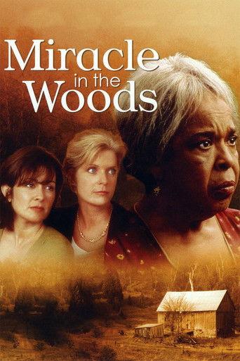 Miracle in the Woods film afişi