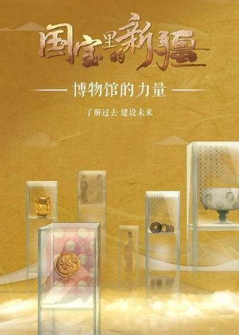 国宝里的新疆 dizi afişi