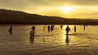 Who's Watching Oregon's Wildlife, Slot Canyon Geology and Eulachon Smelt