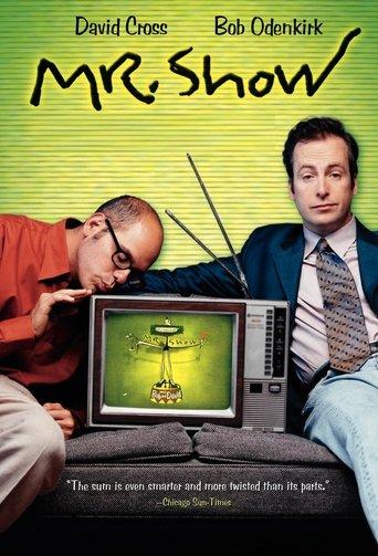 Mr. Show with Bob and David dizi afişi