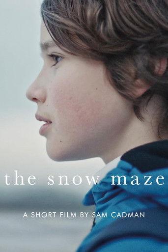 The Snow Maze film afişi