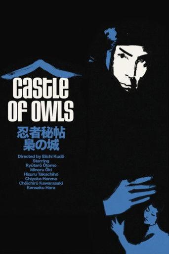 Castle of Owls film afişi