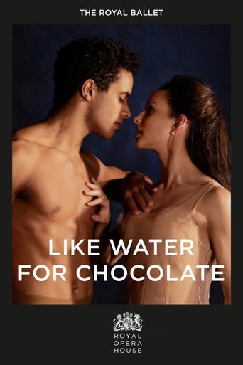 Like Water for Chocolate film afişi