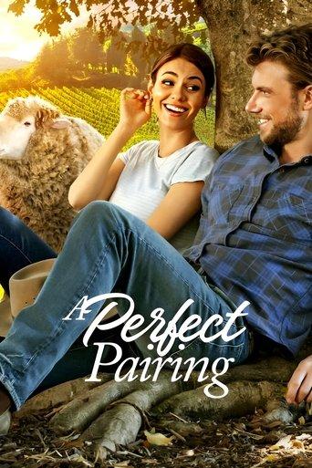 A Perfect Pairing film afişi