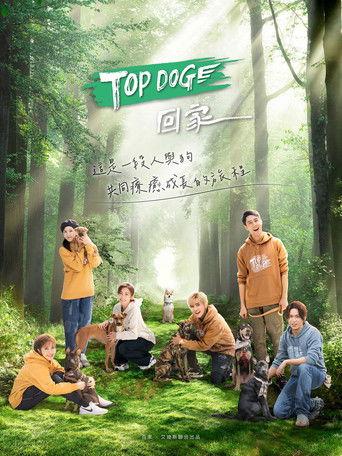 TOP DOG dizi afişi