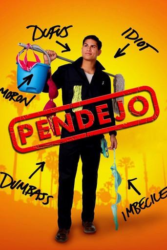 Pendejo (Idiot) film afişi