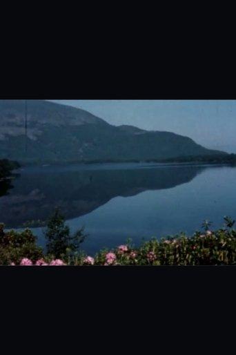 Return to Kerry film afişi