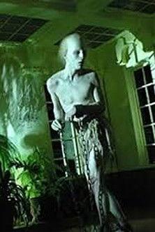 Coffins of Light film afişi