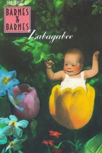 Zabagabee film afişi