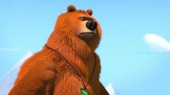 Bear Behind the Wheel