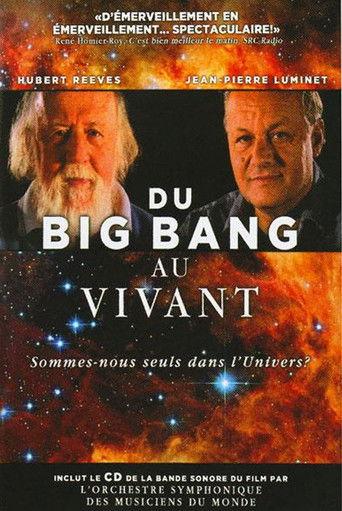Du Big Bang au vivant dizi afişi