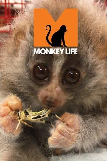 Monkey Life dizi afişi