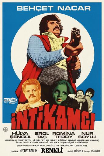İntikamcı film afişi